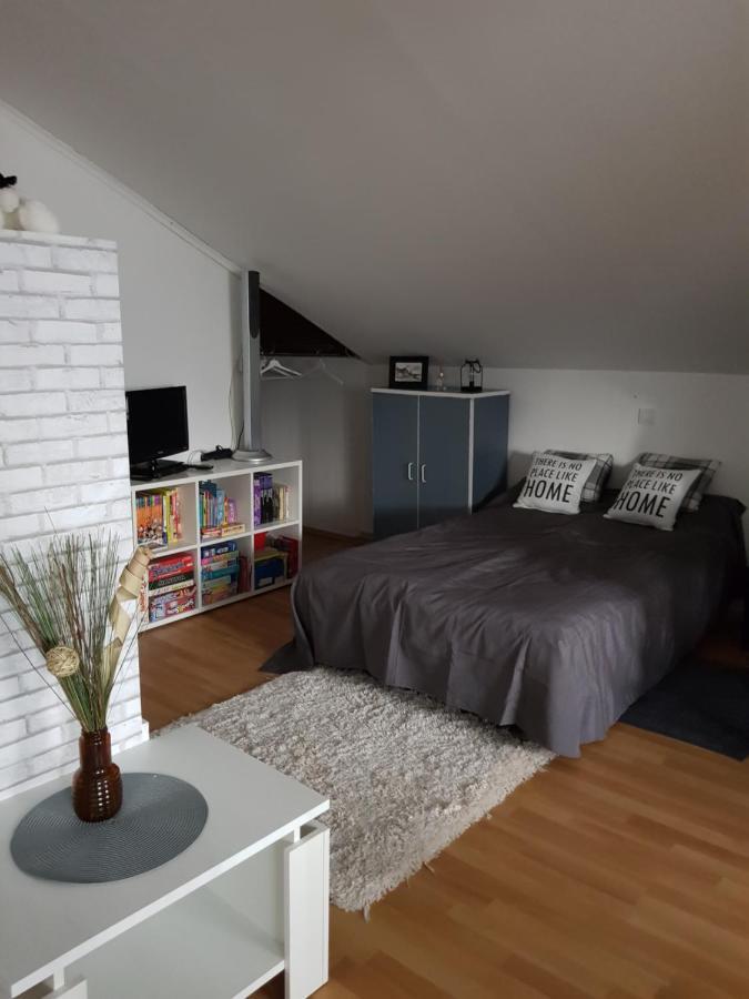 Apartman Atelier Карловац Экстерьер фото